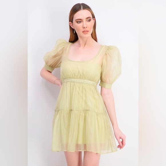 NWT Danielle Bernstein Sheer Organza Puff Sleeve Mini - Picture 1 of 12